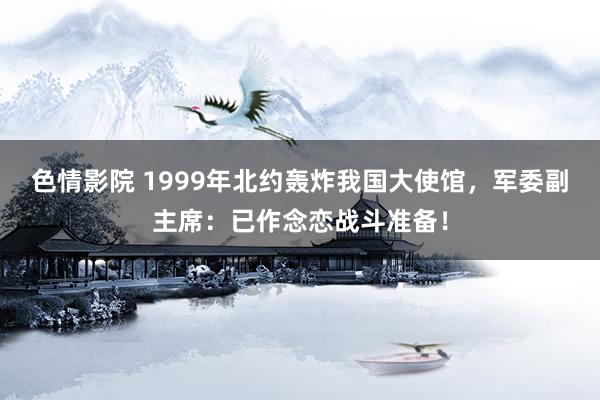 色情影院 1999年北约轰炸我国大使馆，军委副主席：已作念恋战斗准备！