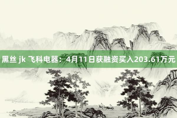黑丝 jk 飞科电器：4月11日获融资买入203.61万元
