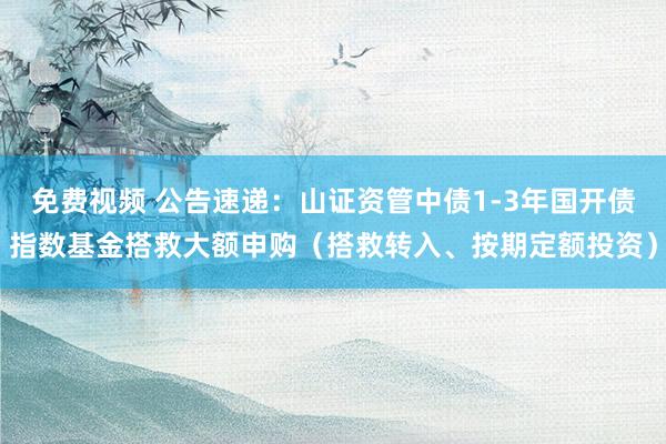 免费视频 公告速递：山证资管中债1-3年国开债指数基金搭救大额申购（搭救转入、按期定额投资）