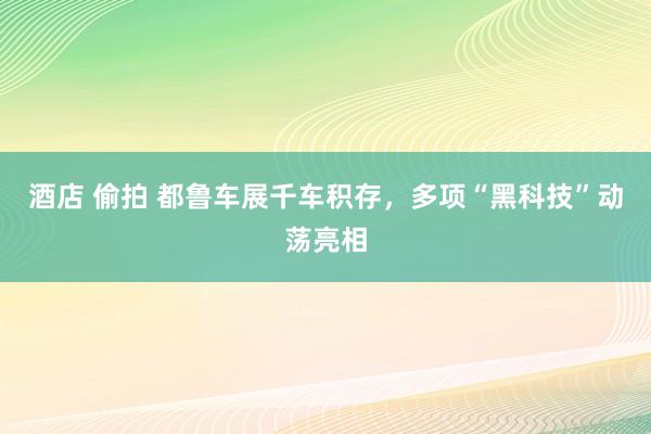 酒店 偷拍 都鲁车展千车积存，多项“黑科技”动荡亮相