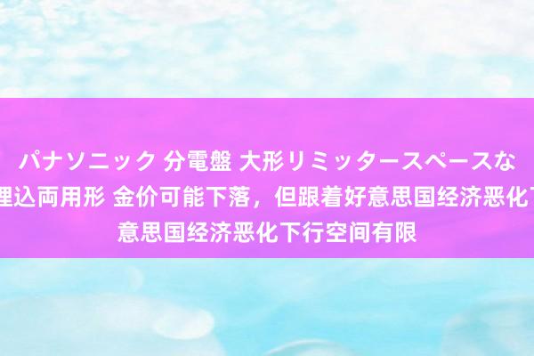 パナソニック 分電盤 大形リミッタースペースなし 露出・半埋込両用形 金价可能下落，但跟着好意思国经济恶化下行空间有限