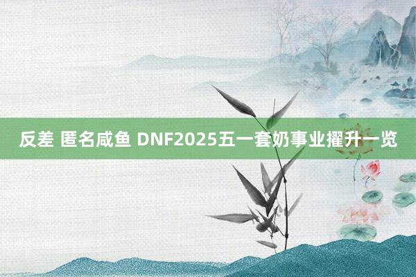 反差 匿名咸鱼 DNF2025五一套奶事业擢升一览