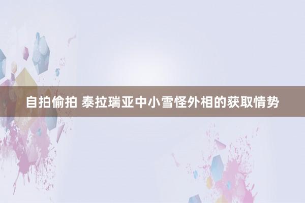 自拍偷拍 泰拉瑞亚中小雪怪外相的获取情势