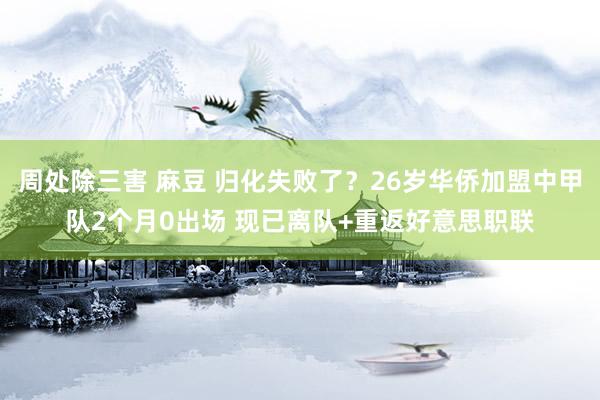 周处除三害 麻豆 归化失败了？26岁华侨加盟中甲队2个月0出场 现已离队+重返好意思职联