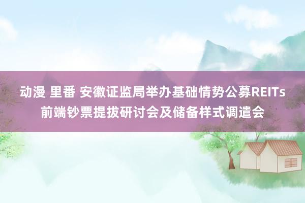 动漫 里番 安徽证监局举办基础情势公募REITs前端钞票提拔研讨会及储备样式调遣会
