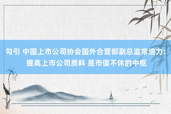 勾引 中国上市公司协会国外合营部副总监常迪力: 提高上市公司质料 是市值不休的中枢