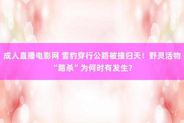 成人直播电影网 雪豹穿行公路被撞归天！野灵活物“路杀”为何时有发生？